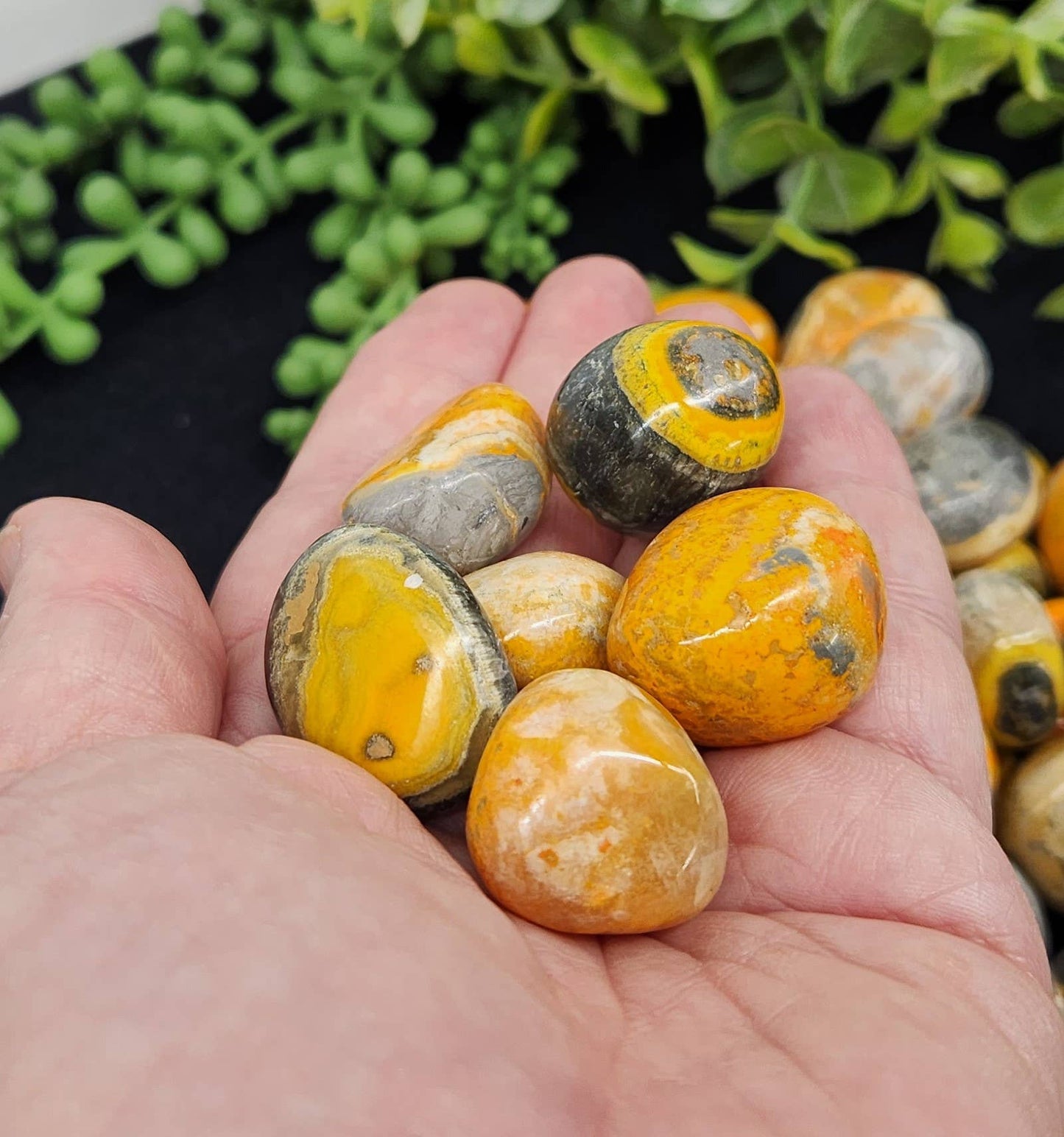 Bumble Bee (Bumblebee) Jasper Tumbled Pocket Stone