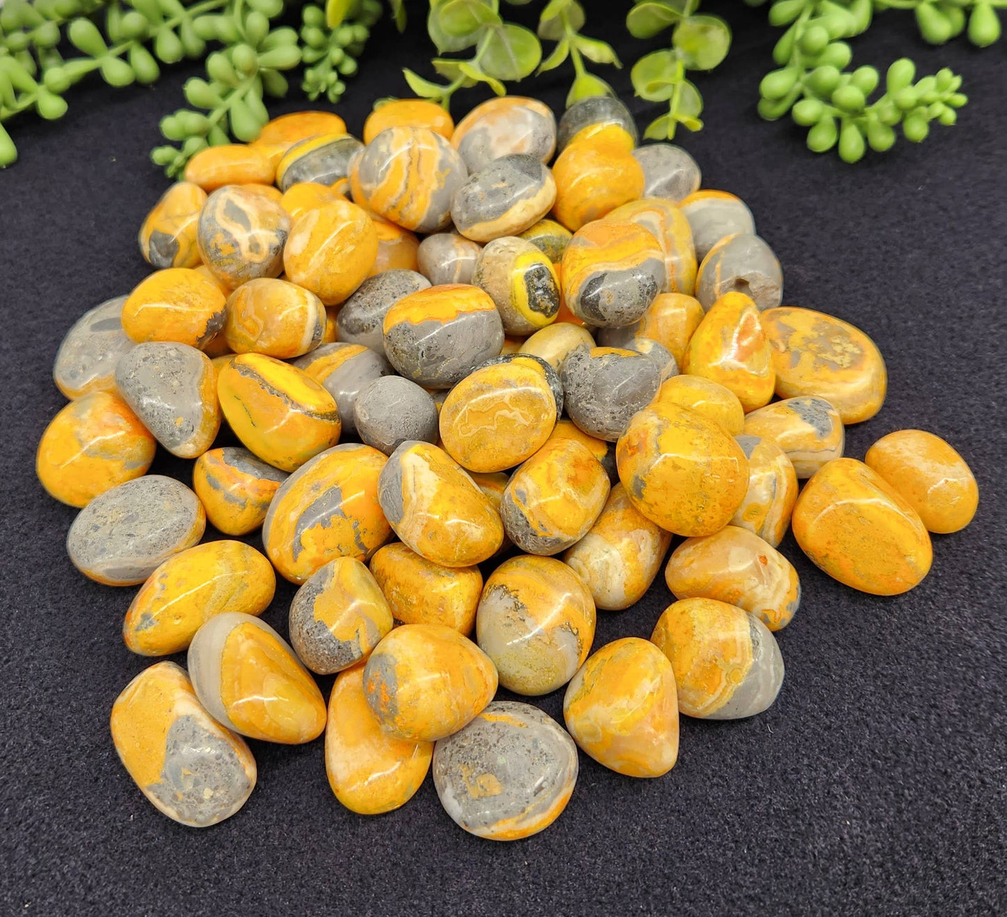 Bumble Bee (Bumblebee) Jasper Tumbled Pocket Stone