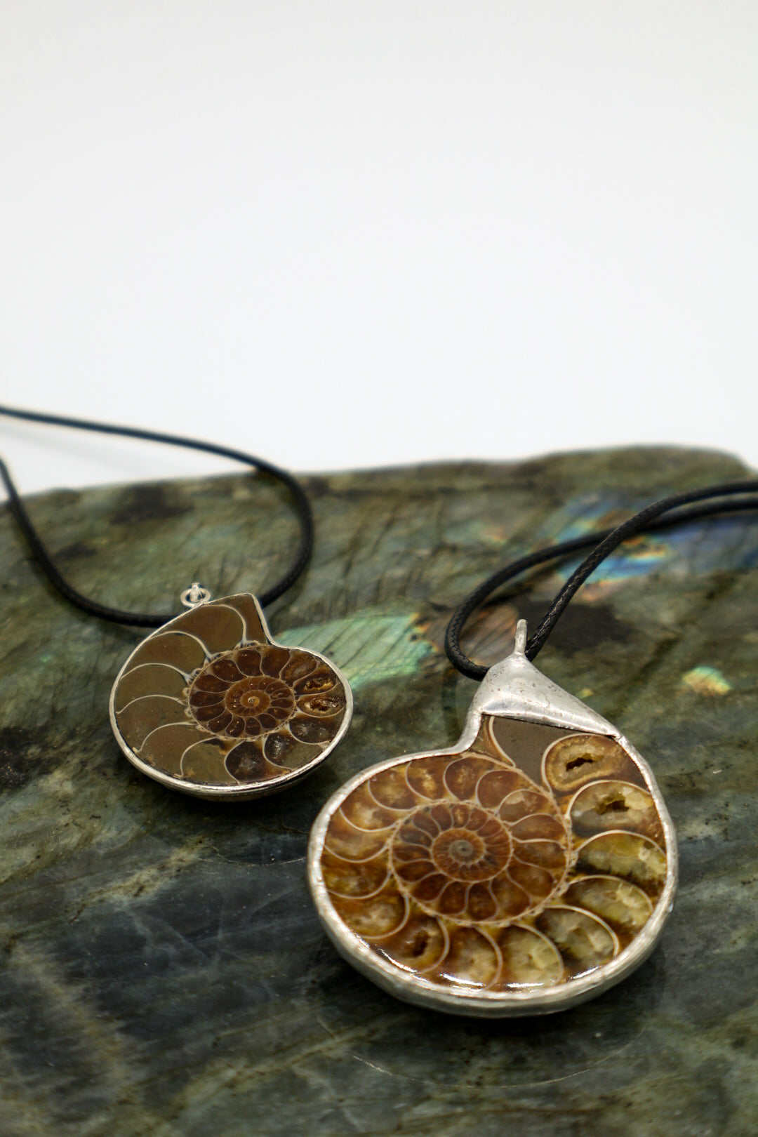 Ammolite and Ammonite Fossil Necklace | Fibonacci Shell