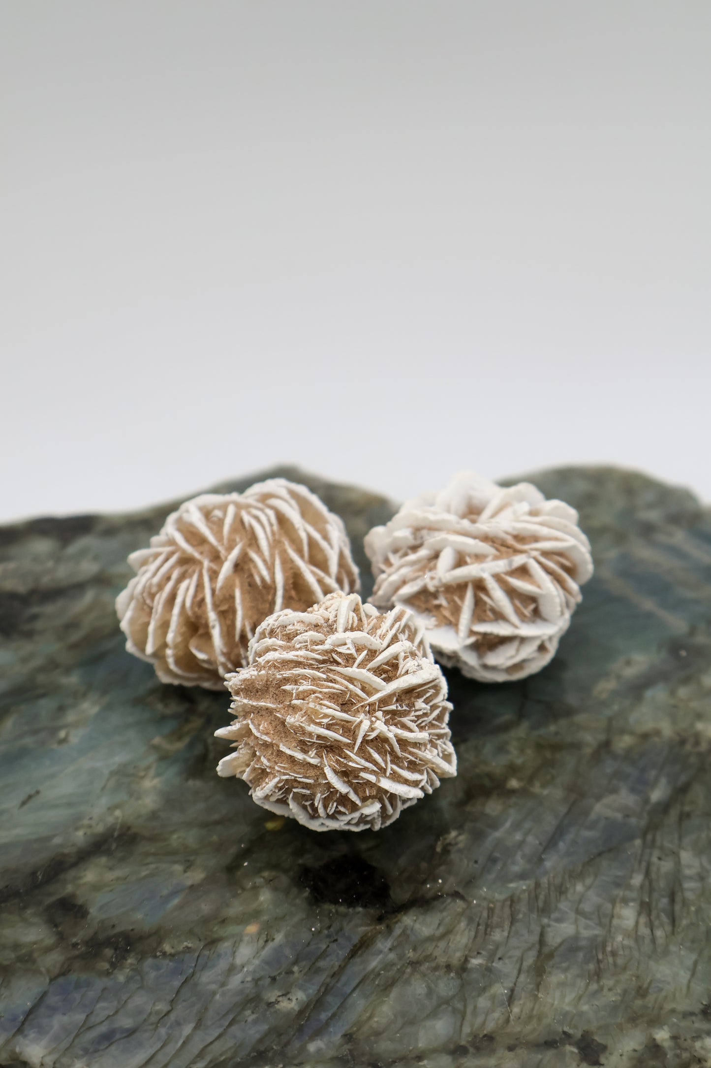 Desert Rose Tumble Stone | 2 inch Specimen
