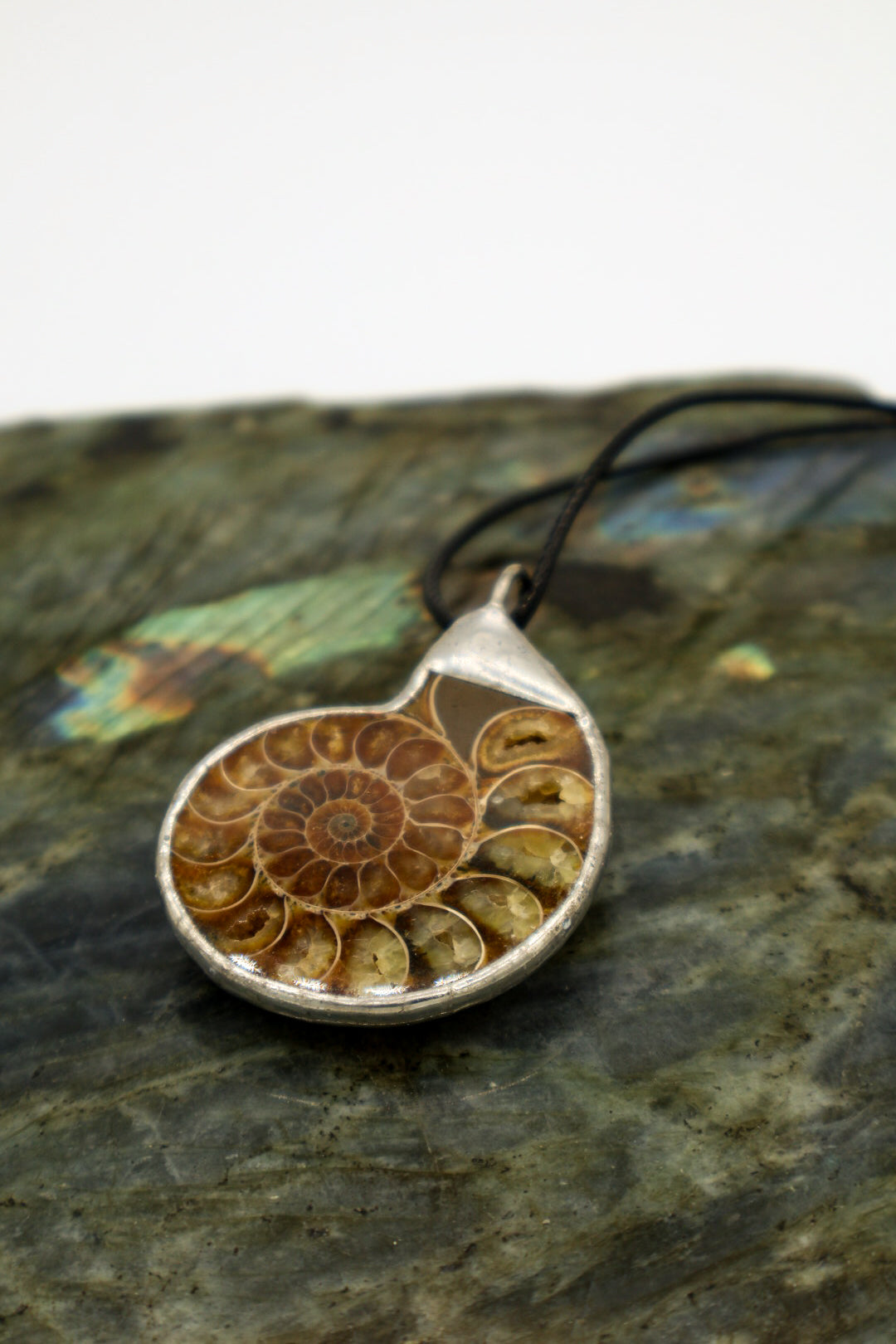 Ammolite and Ammonite Fossil Necklace | Fibonacci Shell