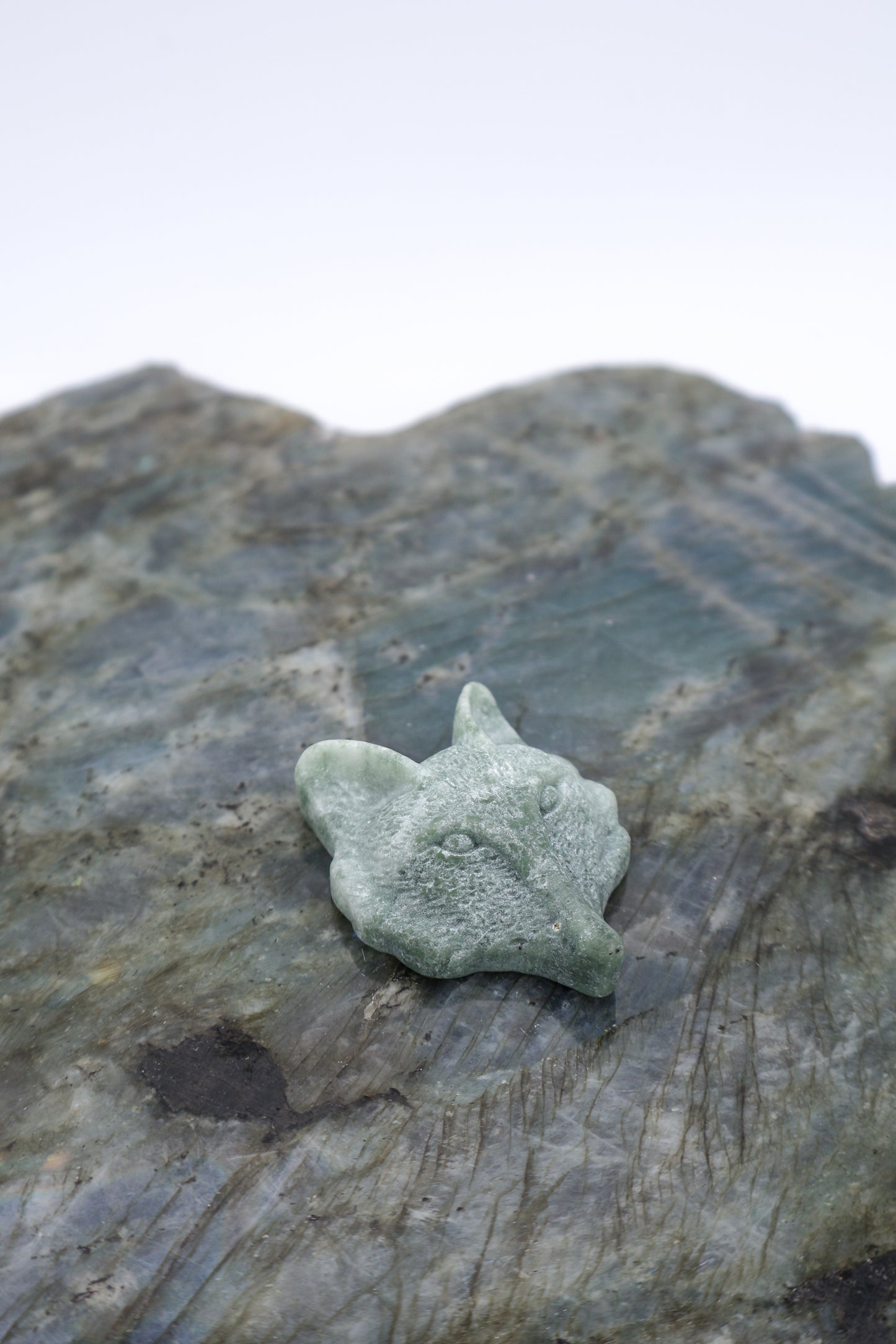 Gemstone Carved Wolf Head Assorted Pocket Stone