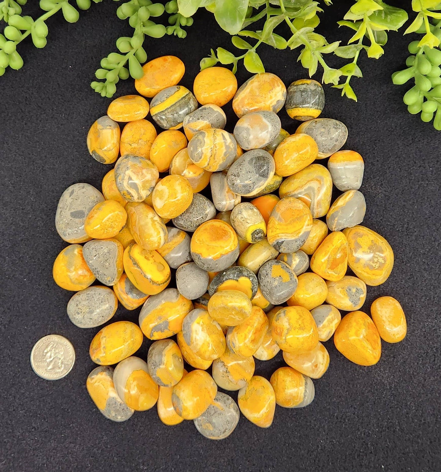 Bumble Bee (Bumblebee) Jasper Tumbled Pocket Stone