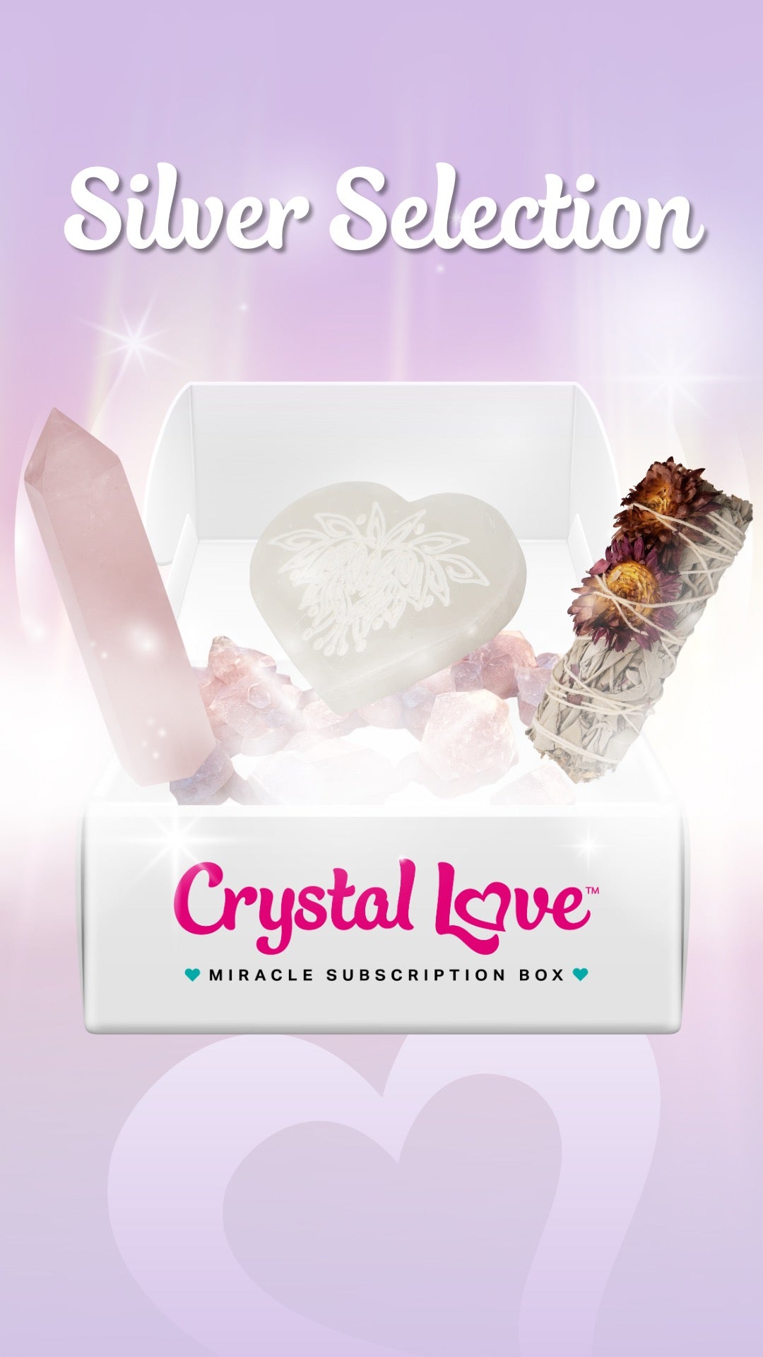 Silver Selection Miracle Subscription Box