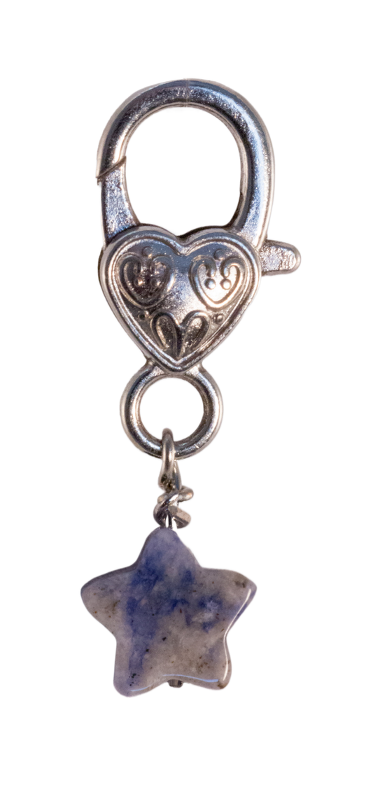 Sodalite Star Healing Pendant for Pets