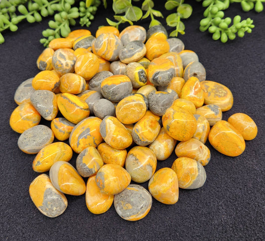 Bumble Bee (Bumblebee) Jasper Tumbled Pocket Stone