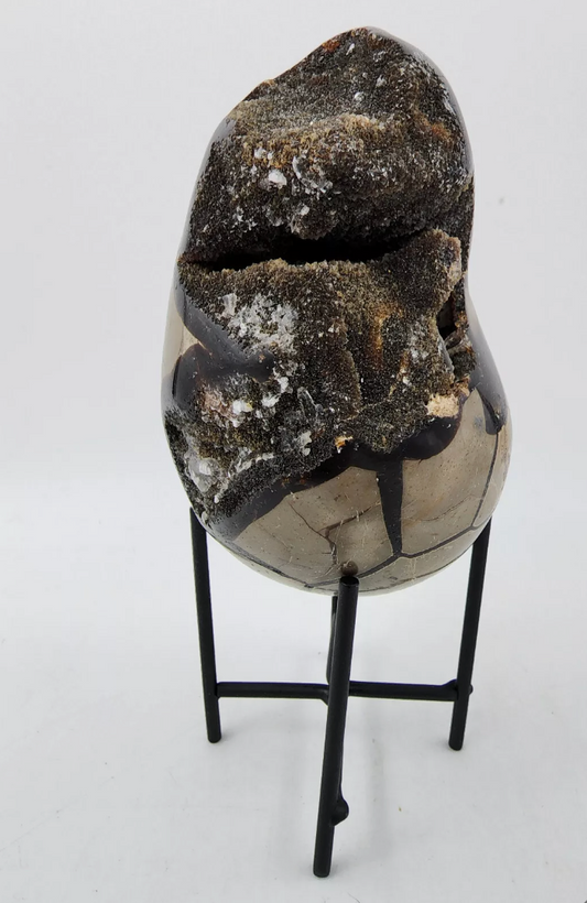 Dragon Septarian Geode Quartz Egg Cluster