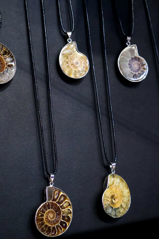 Ammolite and Ammonite Fossil Necklace | Fibonacci Shell