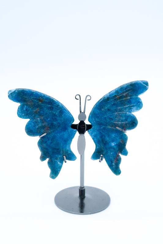 Hand Carved Blue Apatite Butterfly Wing with Display Stand