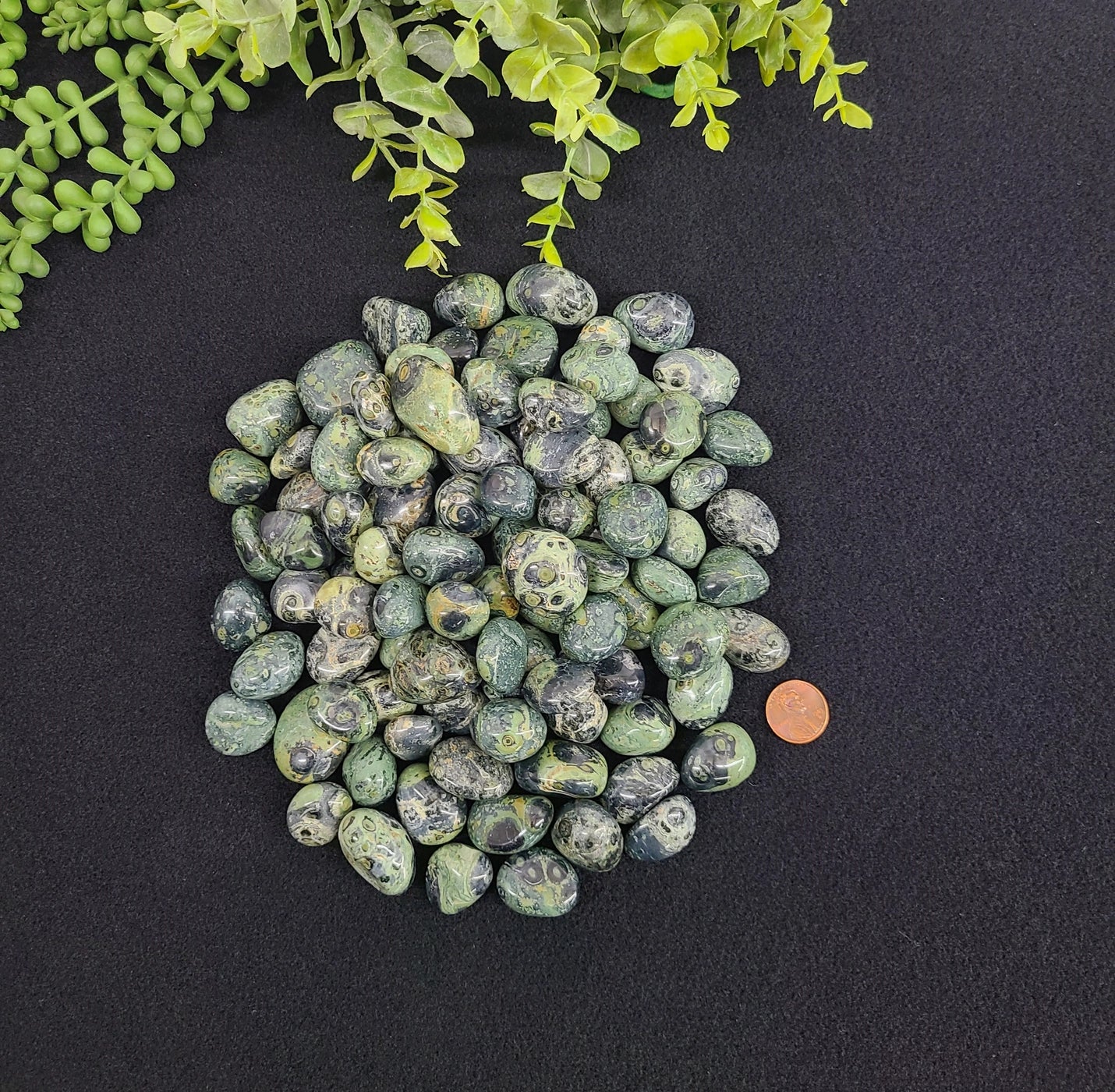 Crocodile Kambaba Tumbled Pocket Stone