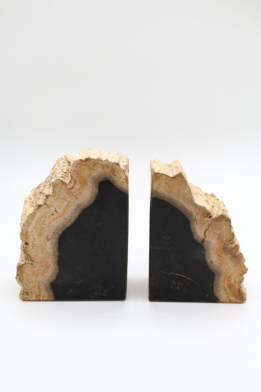 Petrified Wood Bookends | Book Ends