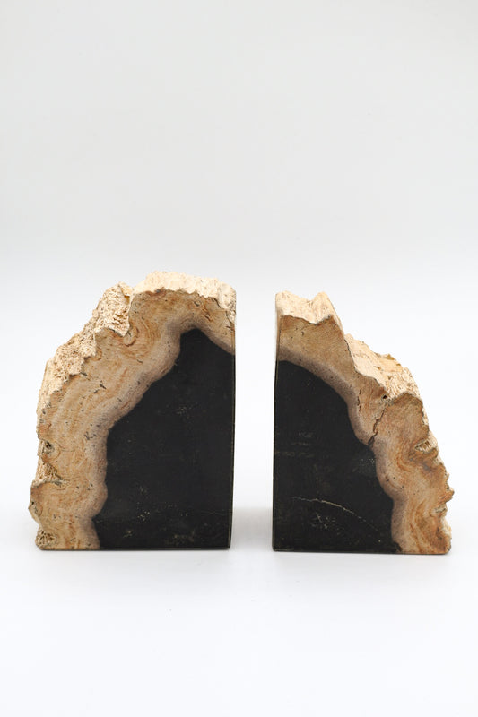 Petrified Wood Bookends | Book Ends