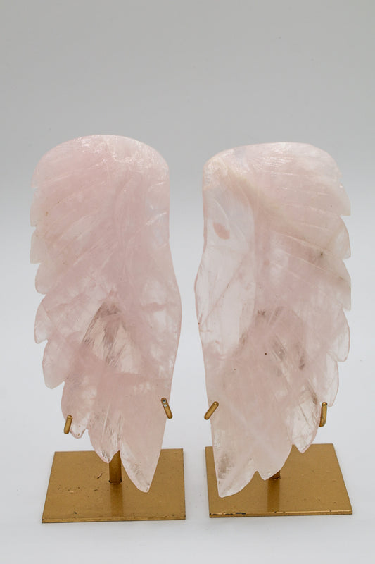 Rose Quartz Angel Wings with Gold Stand