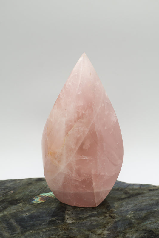 Polished Rose Quartz Freeform Teardrop