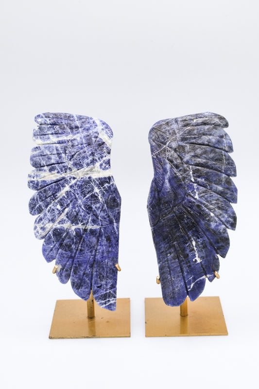 Sodalite Angel Wings with Gold Stand