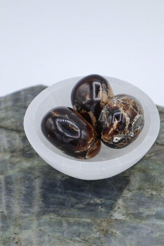 Amber Zebra Tumbled Pocket Stone
